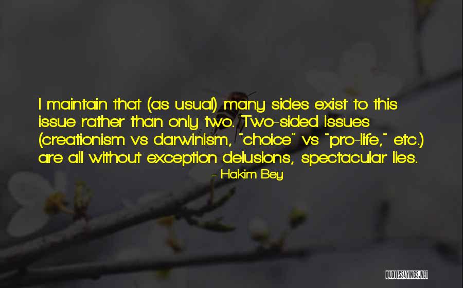 Carnan Properties Quotes By Hakim Bey Carnan Properties Quotes By Hakim Bey