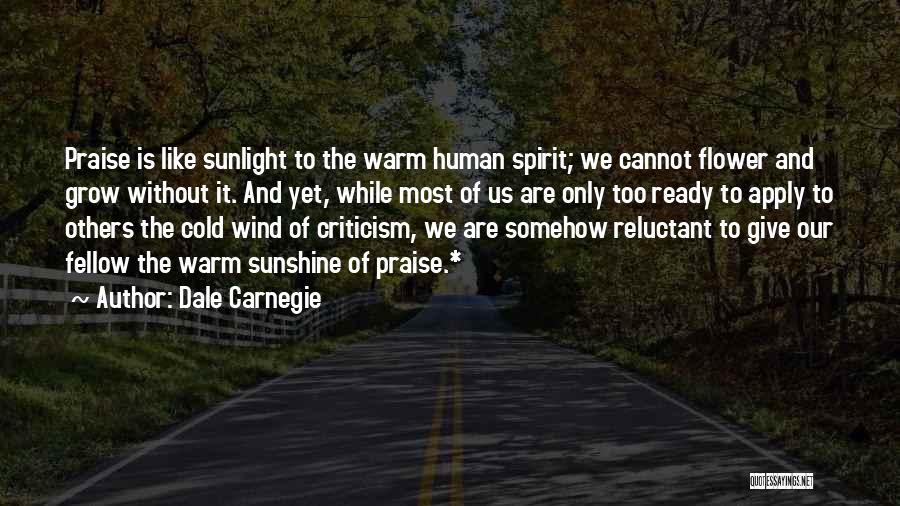 Carnegie Quotes By Dale Carnegie