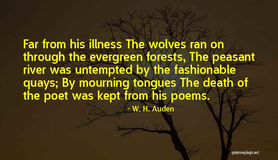 Carnesi Consulting Quotes By W. H. Auden Carnesi Consulting Quotes By W. H. Auden