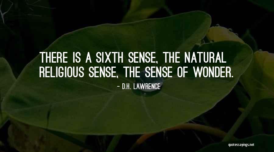 Carnet Prijava Quotes By D.H. Lawrence