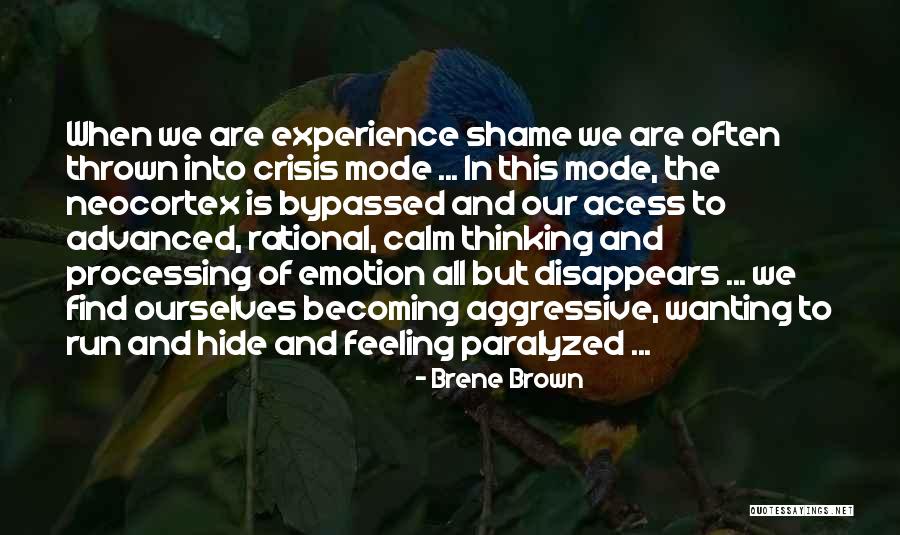 Carniceria Aguascalientes Quotes By Brene Brown Carniceria Aguascalientes Quotes By Brene Brown