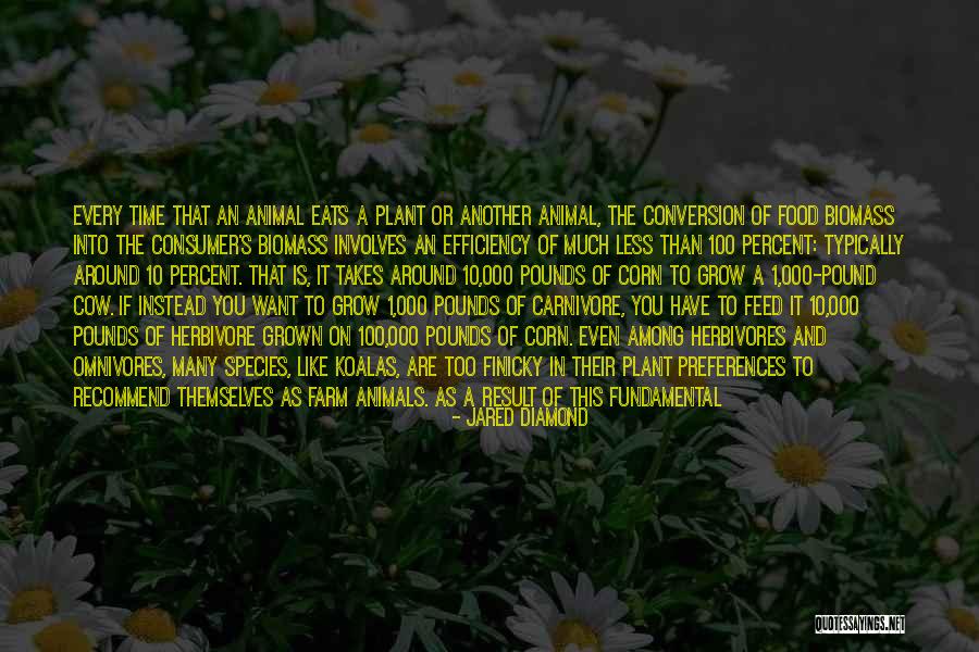 Carnivore Quotes By Jared Diamond Carnivore Quotes By Jared Diamond