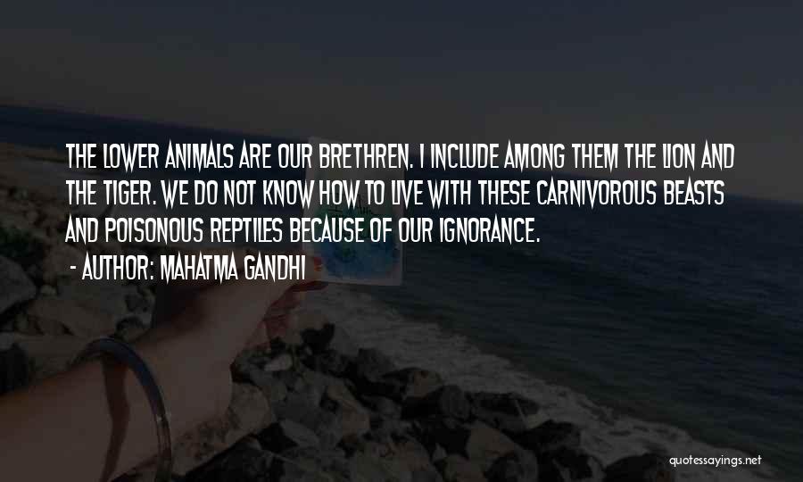 Carnivorous Quotes By Mahatma Gandhi