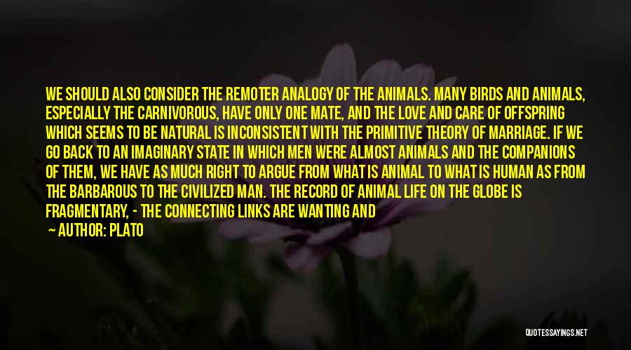 Carnivorous Quotes By Plato