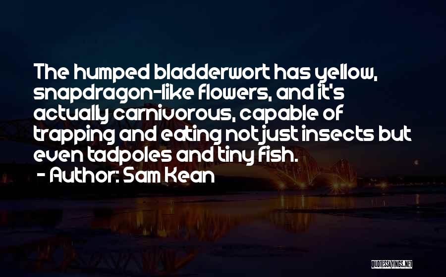 Carnivorous Quotes By Sam Kean