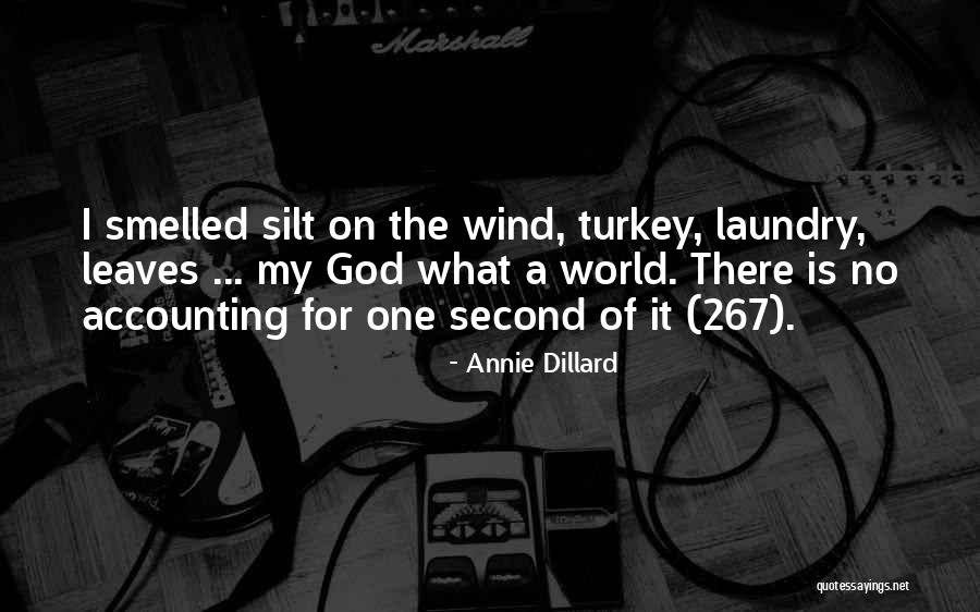 Carogna Quotes By Annie Dillard