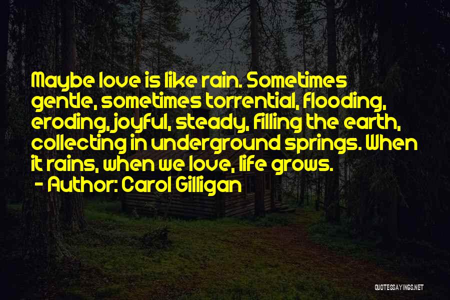 Carol Gilligan Quotes 256374