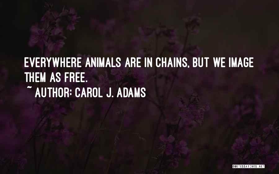Carol J. Adams Quotes 1121414