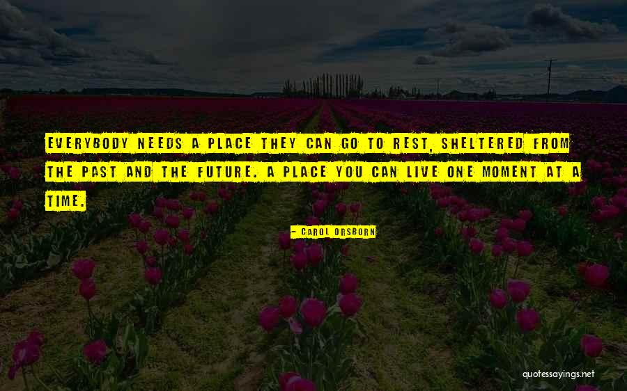 Carol Orsborn Quotes 2094166 Carol Orsborn Quotes 2094166