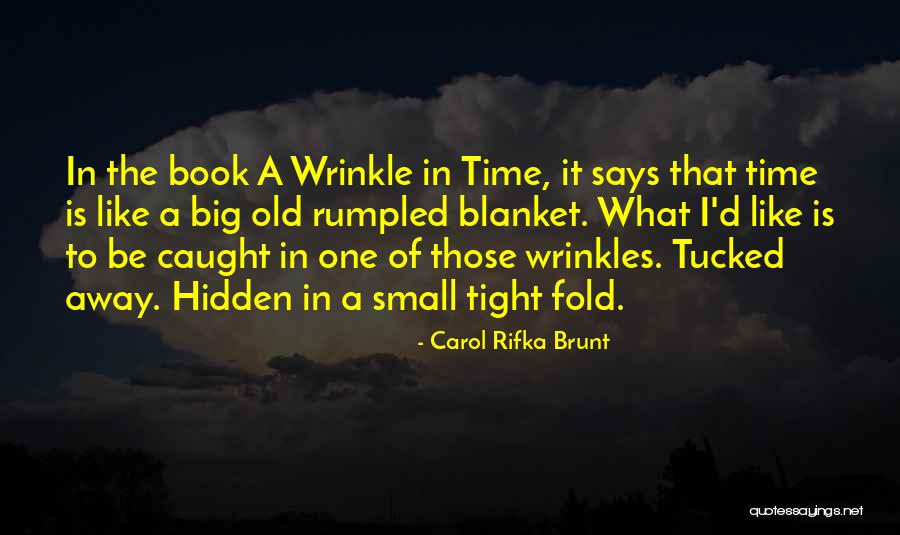 Carol Rifka Brunt Quotes 1048082