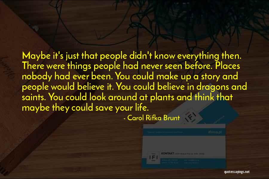 Carol Rifka Brunt Quotes 1069786 Carol Rifka Brunt Quotes 1069786