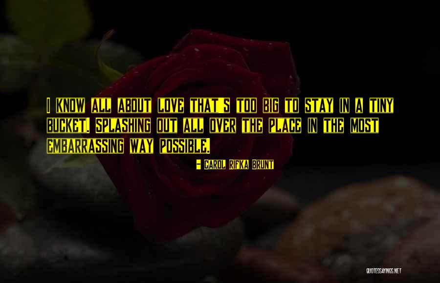 Carol Rifka Brunt Quotes 1222090 Carol Rifka Brunt Quotes 1222090