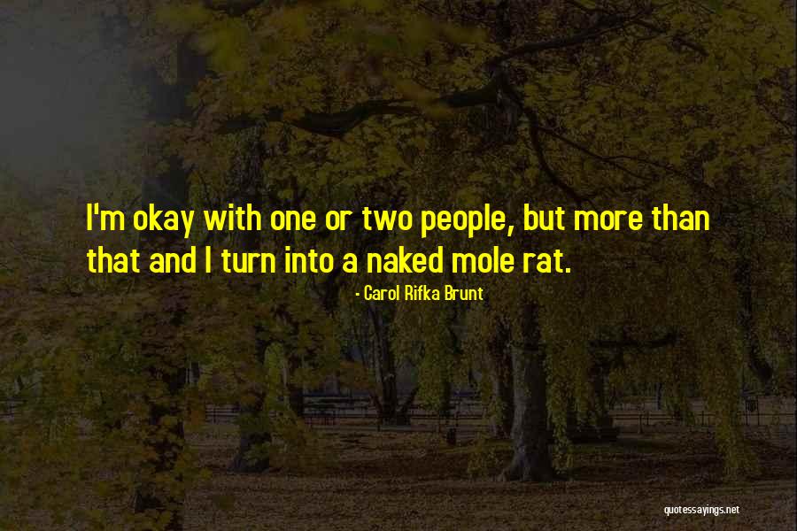 Carol Rifka Brunt Quotes 1310240 Carol Rifka Brunt Quotes 1310240
