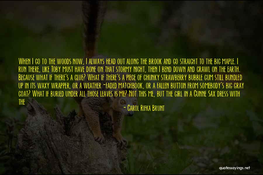 Carol Rifka Brunt Quotes 1579008 Carol Rifka Brunt Quotes 1579008