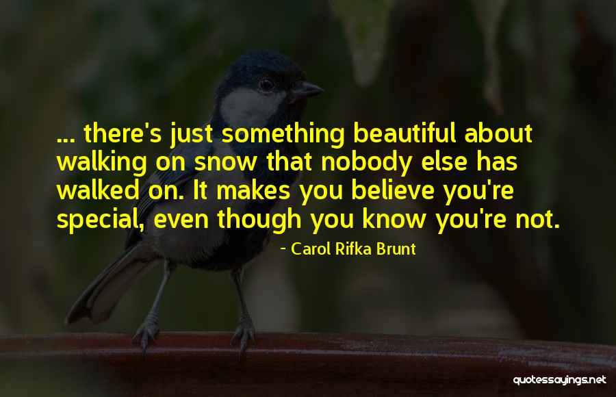 Carol Rifka Brunt Quotes 1591154