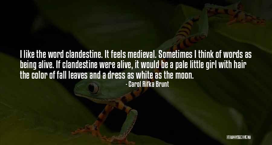 Carol Rifka Brunt Quotes 1674421 Carol Rifka Brunt Quotes 1674421