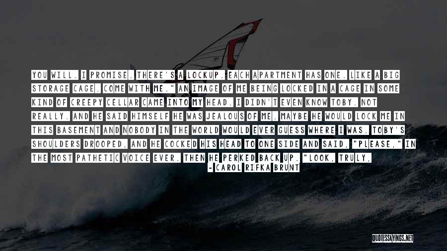 Carol Rifka Brunt Quotes 2132113 Carol Rifka Brunt Quotes 2132113