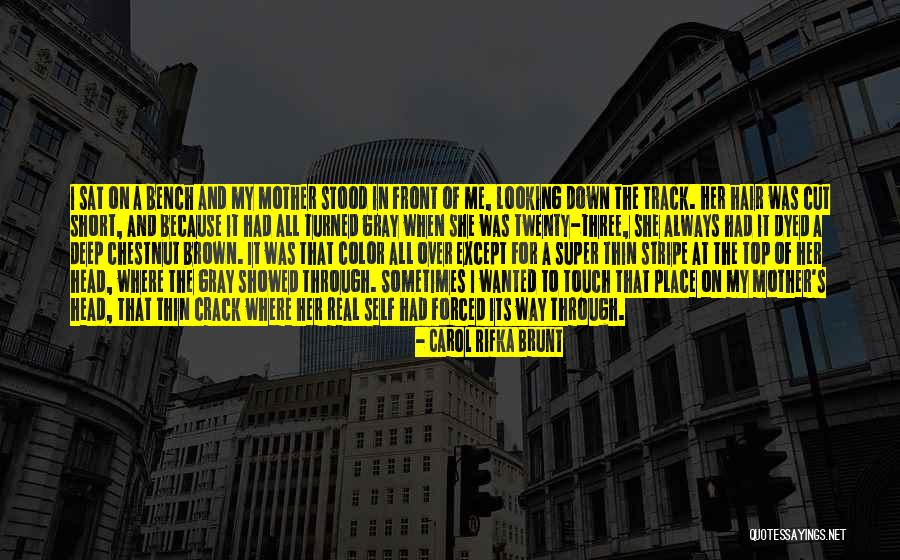 Carol Rifka Brunt Quotes 227482 Carol Rifka Brunt Quotes 227482