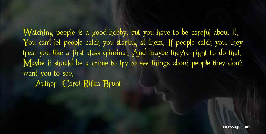 Carol Rifka Brunt Quotes 465102