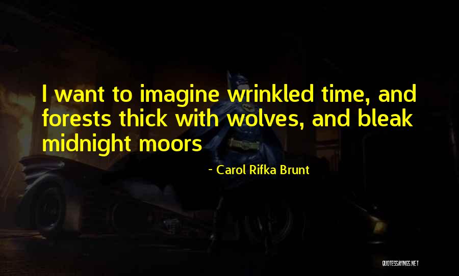 Carol Rifka Brunt Quotes 487732