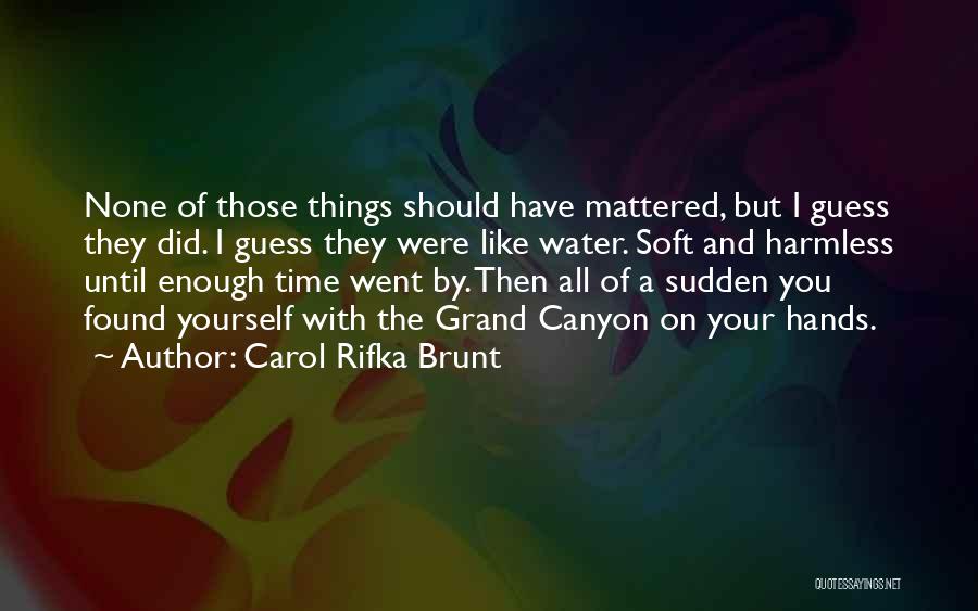 Carol Rifka Brunt Quotes 684111