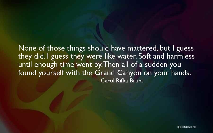 Carol Rifka Brunt Quotes 684111