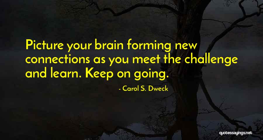 Carol S. Dweck Quotes 1611876