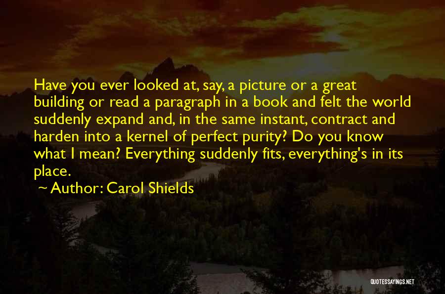 Carol Shields Quotes 1381660