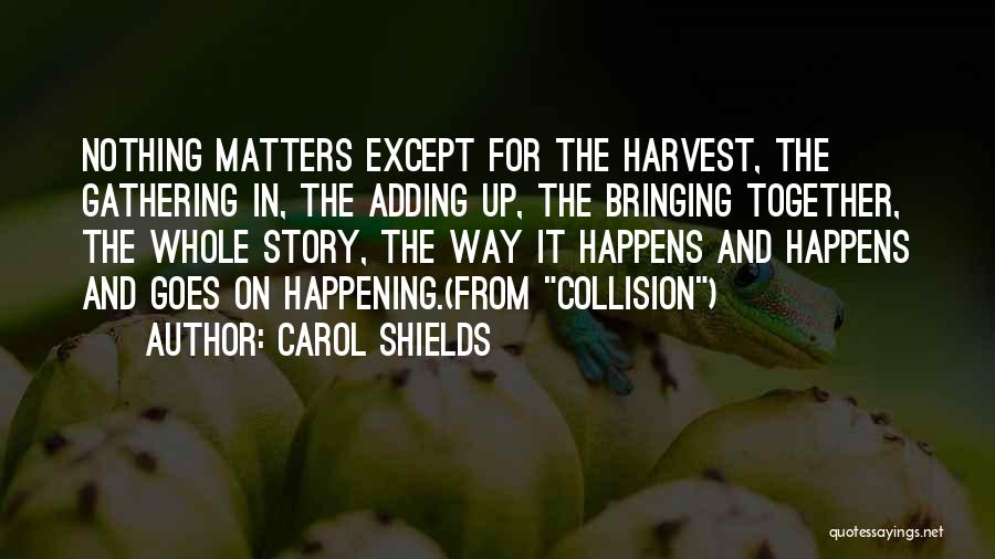 Carol Shields Quotes 2220093