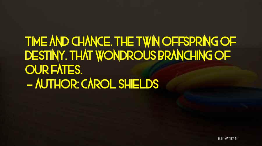 Carol Shields Quotes 535280
