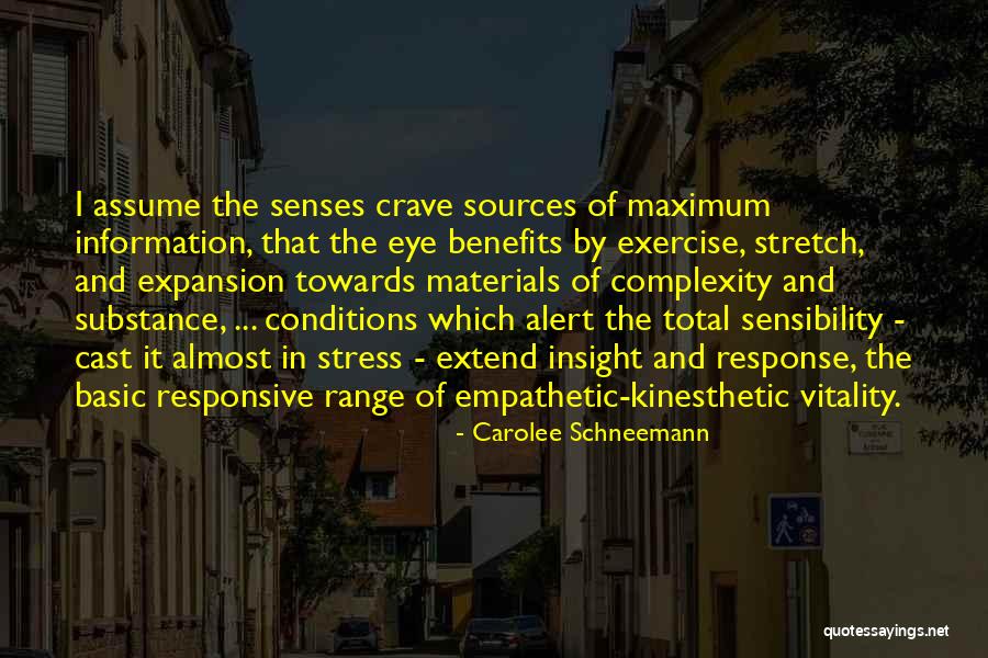 Carolee Schneemann Quotes 217955 Carolee Schneemann Quotes 217955
