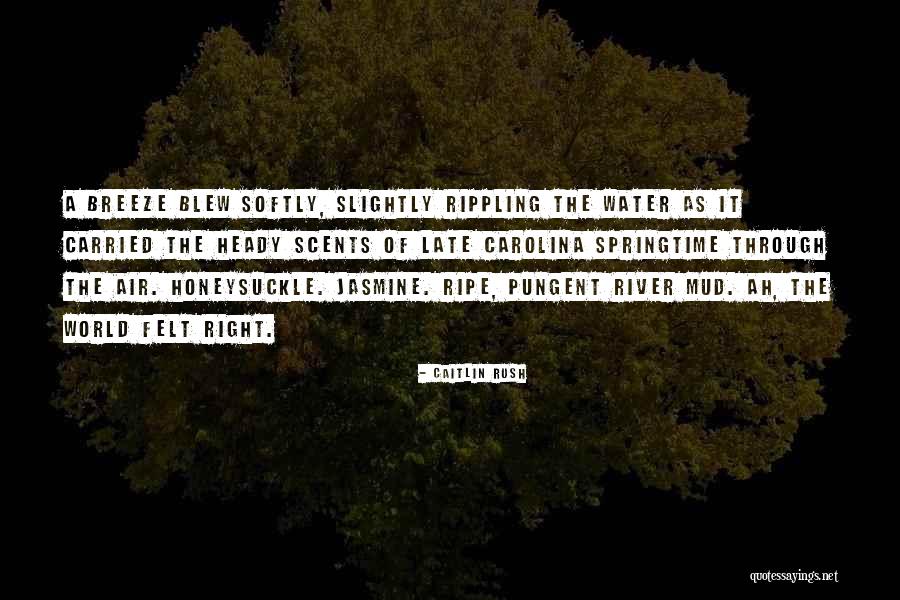 Carolina The Quotes By Caitlin Rush Carolina The Quotes By Caitlin Rush