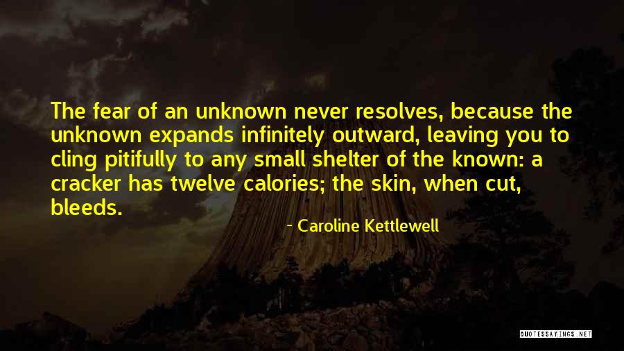 Caroline Kettlewell Quotes 383081