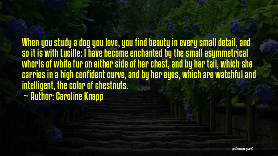 Caroline Knapp Quotes 299050