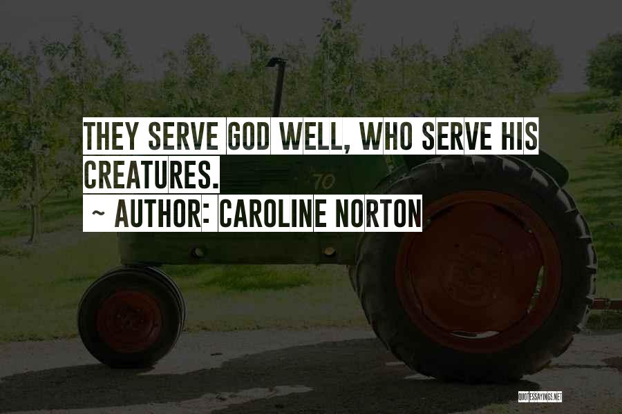 Caroline Norton Quotes 1971173