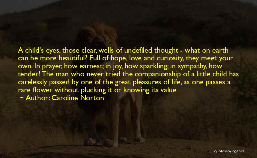 Caroline Norton Quotes 722560