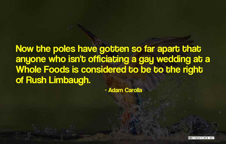 Carolla Quotes By Adam Carolla Carolla Quotes By Adam Carolla
