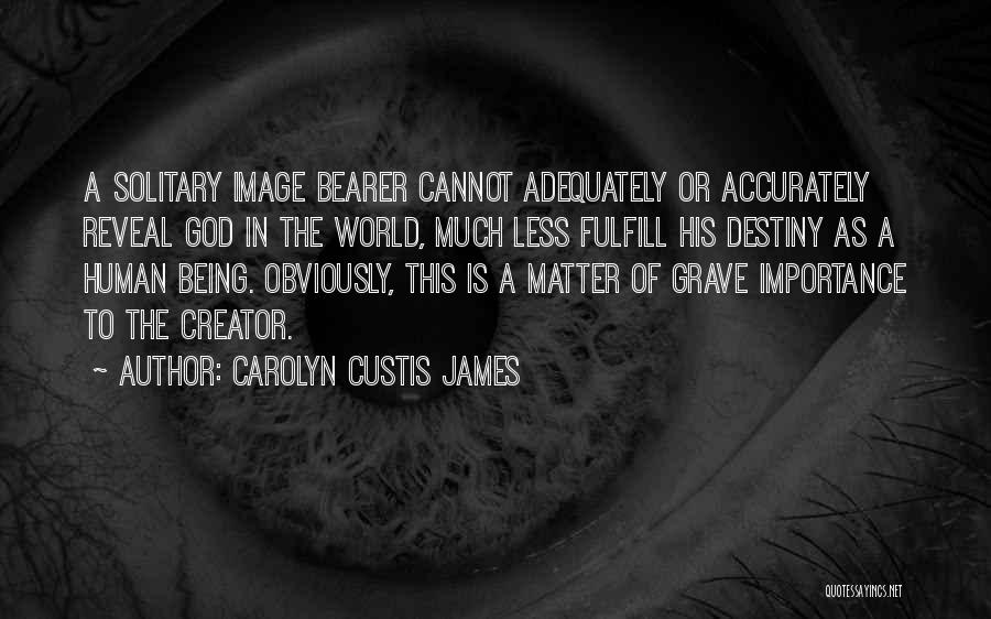 Carolyn Custis James Quotes 950103