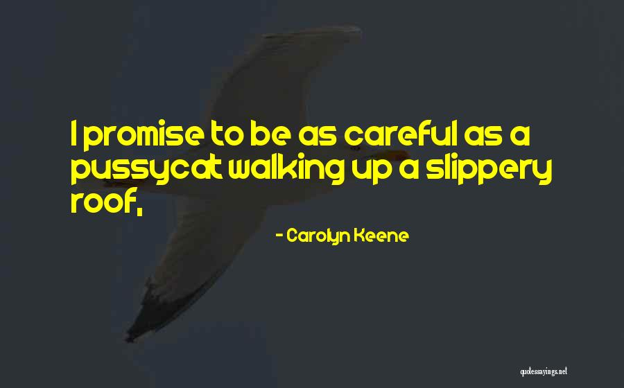 Carolyn Keene Quotes 1117296