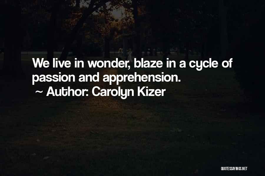 Carolyn Kizer Quotes 841629