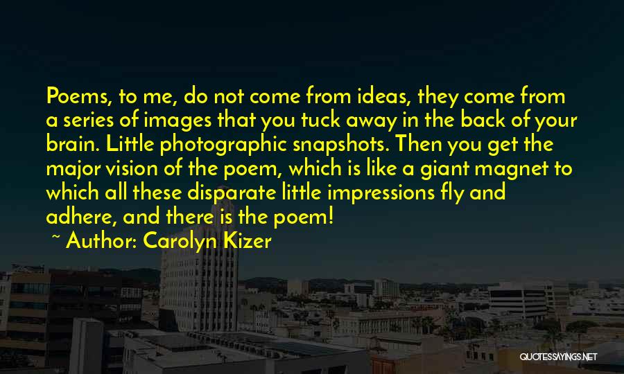 Carolyn Kizer Quotes 874004