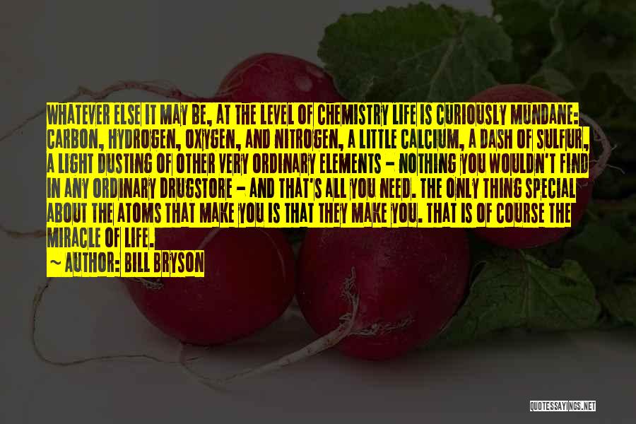 Carotone Before And After Quotes By Bill Bryson