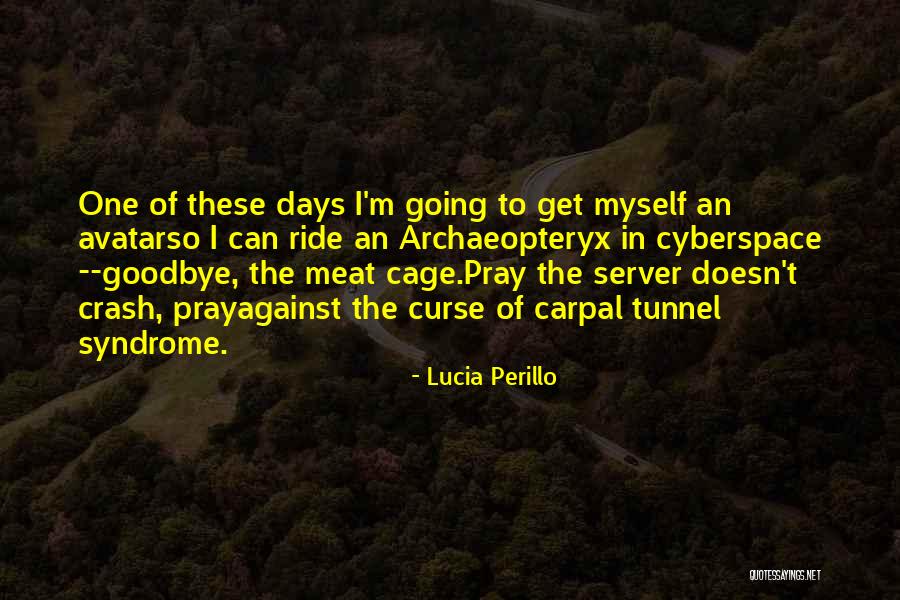 Carpal Tunnel Syndrome Quotes By Lucia Perillo Carpal Tunnel Syndrome Quotes By Lucia Perillo