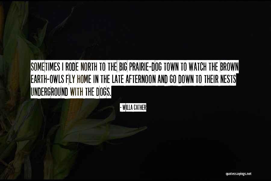 Carpani And Gordon Quotes By Willa Cather Carpani And Gordon Quotes By Willa Cather