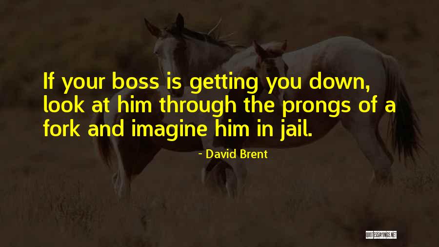 Carpe Diem Significado Quotes By David Brent Carpe Diem Significado Quotes By David Brent