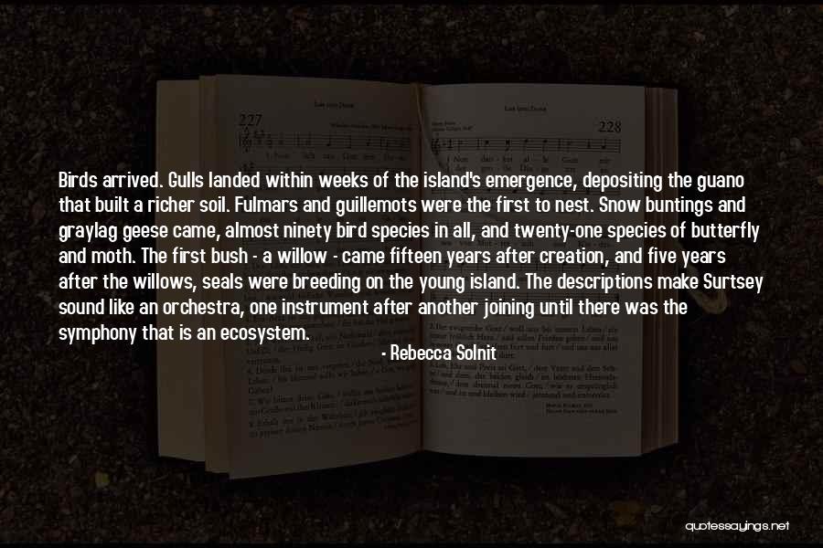 Carper Casket Quotes By Rebecca Solnit Carper Casket Quotes By Rebecca Solnit