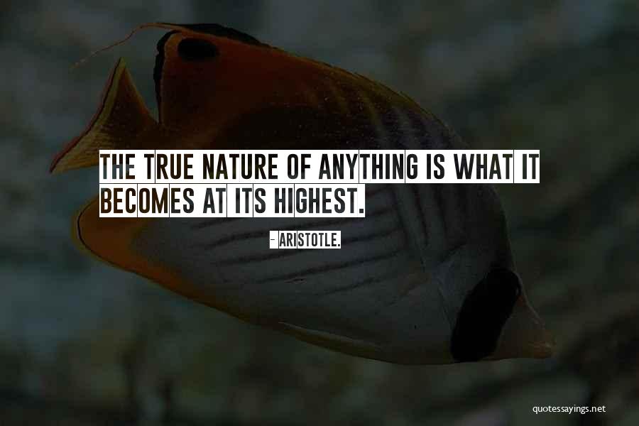 Carper Custom Quotes By Aristotle. Carper Custom Quotes By Aristotle.