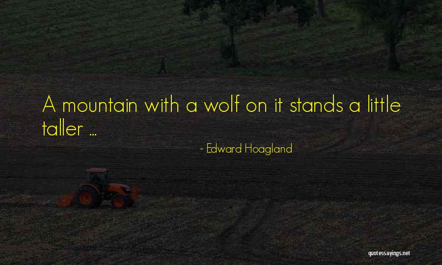 Carpet Bags Overnight Quotes By Edward Hoagland Carpet Bags Overnight Quotes By Edward Hoagland