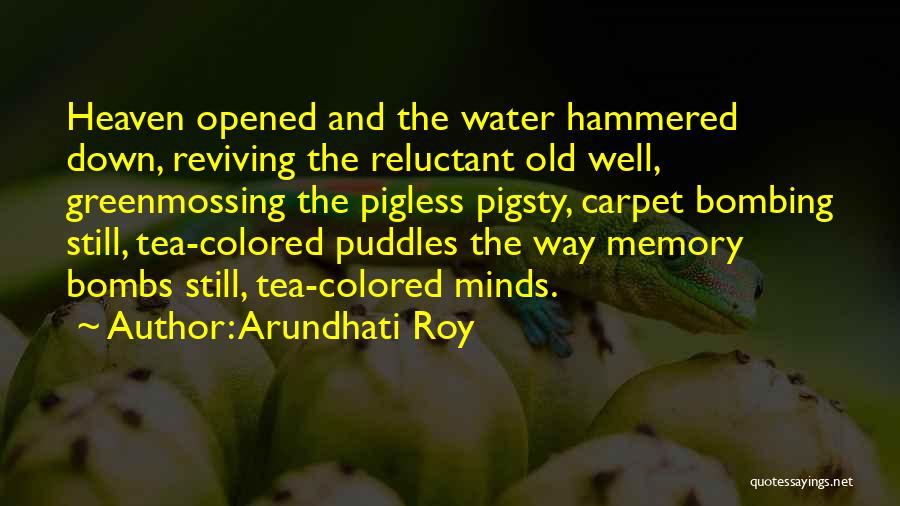 Carpet Quotes By Arundhati Roy