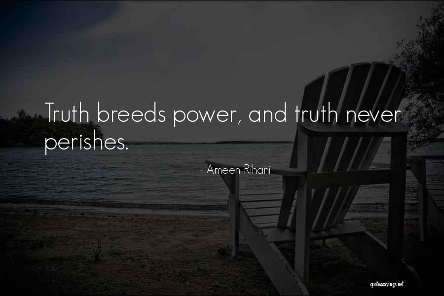 Carrafa Mecca Quotes By Ameen Rihani Carrafa Mecca Quotes By Ameen Rihani